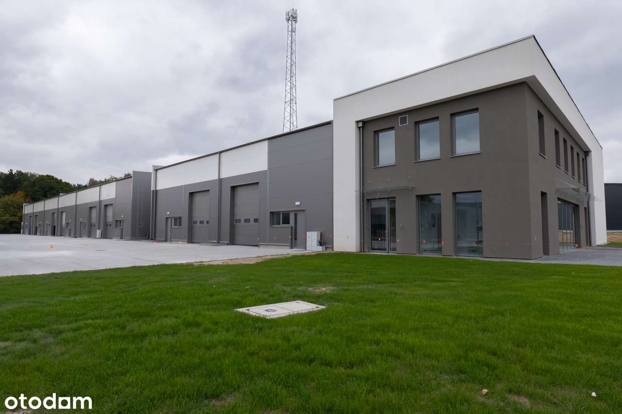 Hala magazynowa na wynajem przez miesiąc w Gdańsku - Konna 46 - Pełny obrazek: 2/15