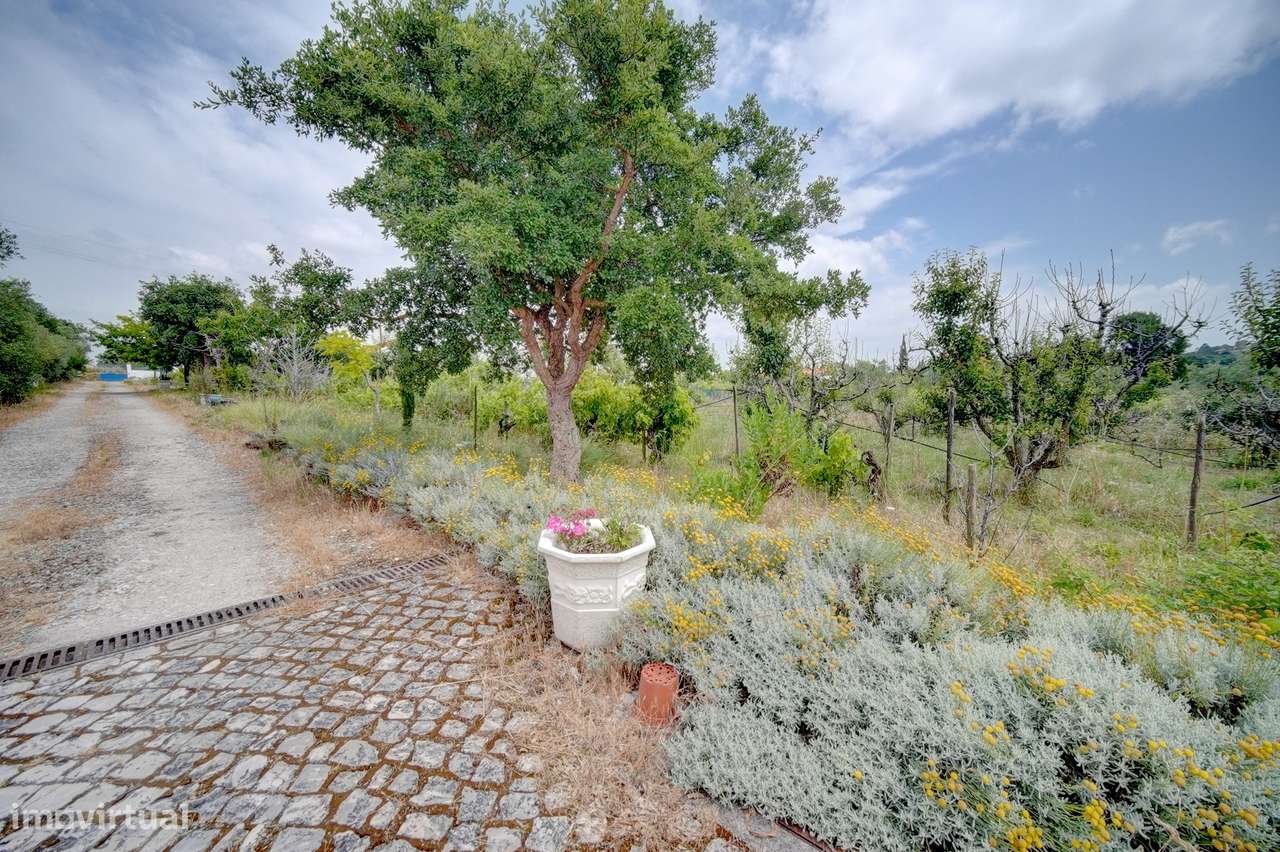 Herdade com 13.360m2 no Bombarral-31