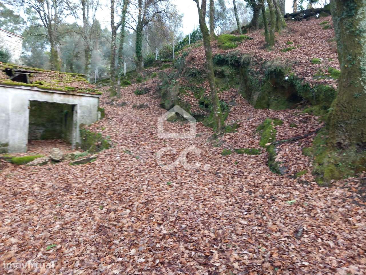 Quinta à venda em Rossas, Vieira do Minho-6