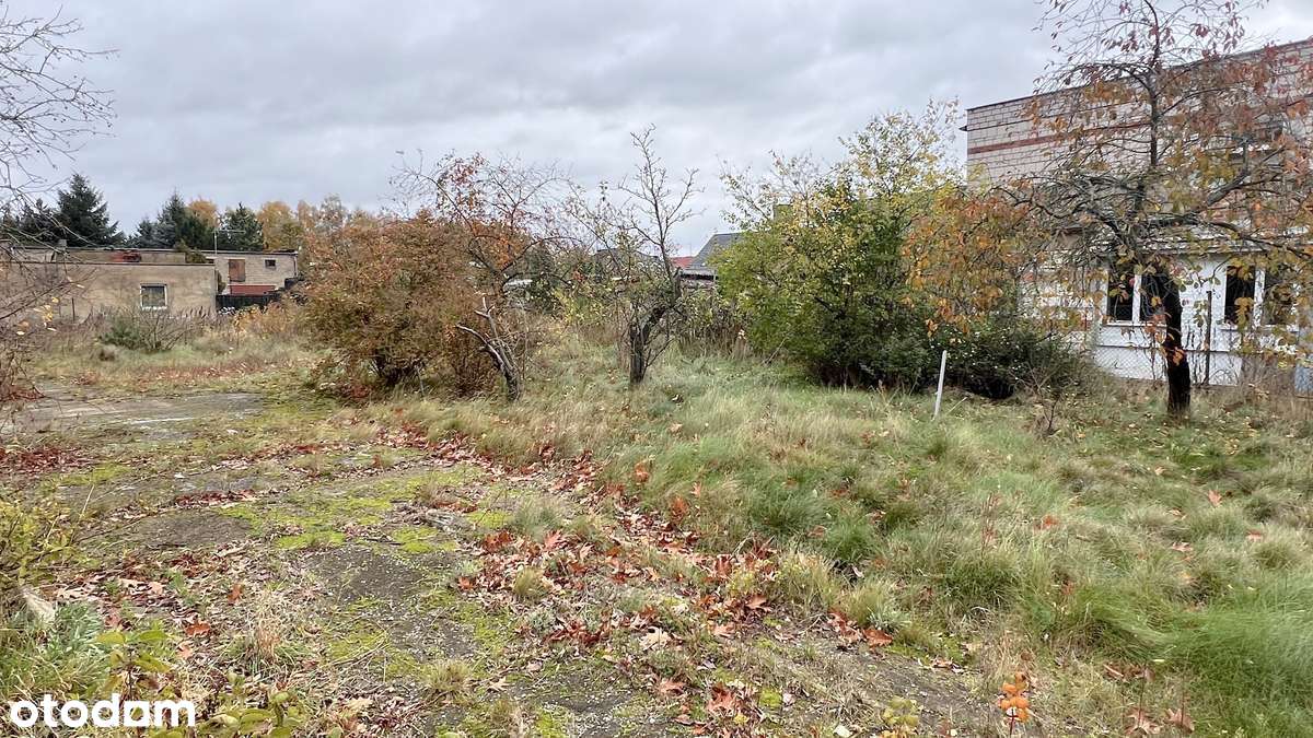 Działka narożnikowa z potencjałem w pobliżu lasu-8