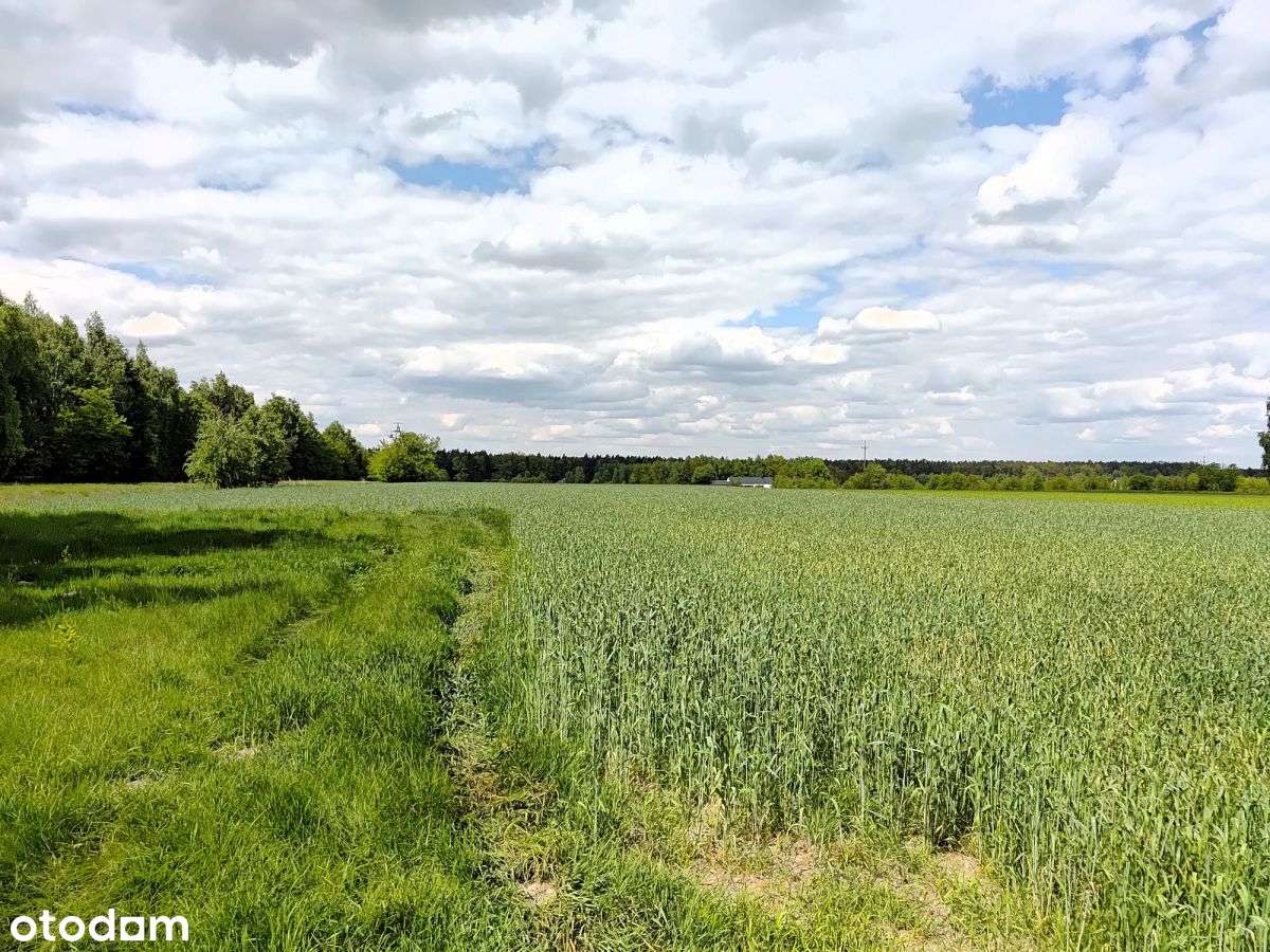 ec426104 - Pełny obrazek: 4/4