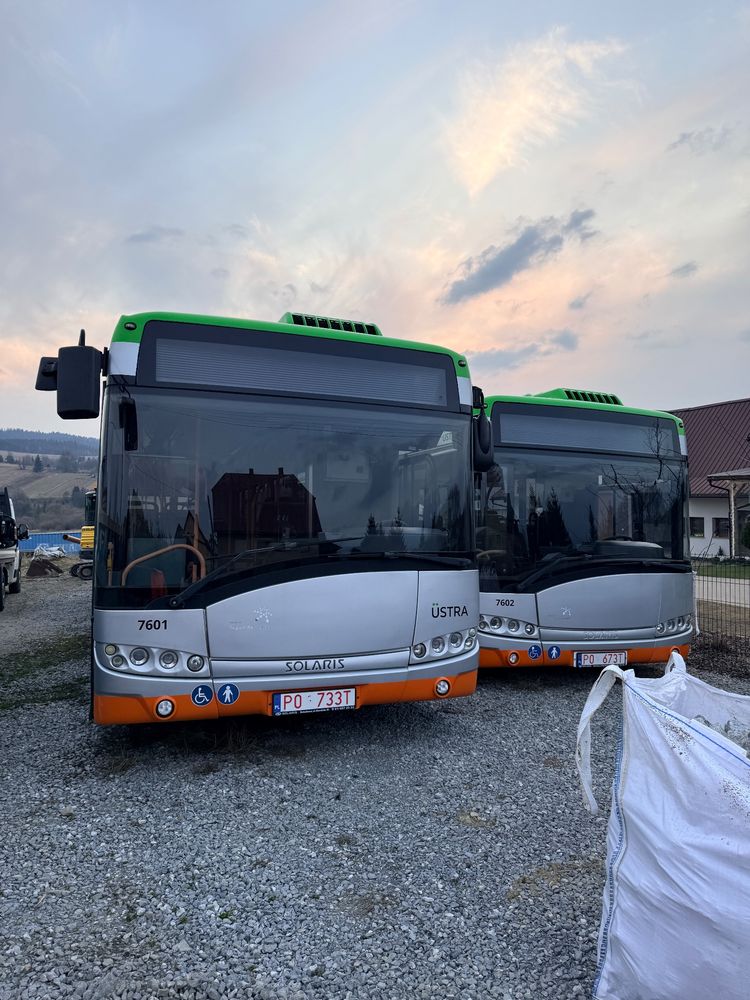 Solaris Urbino 12 2013