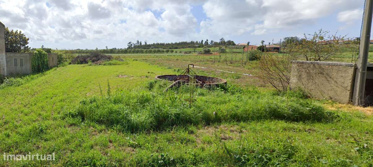 Terreno Rústico em Vagos, Aveiro - Oportunidade Única! - Grande imagem: 5/9