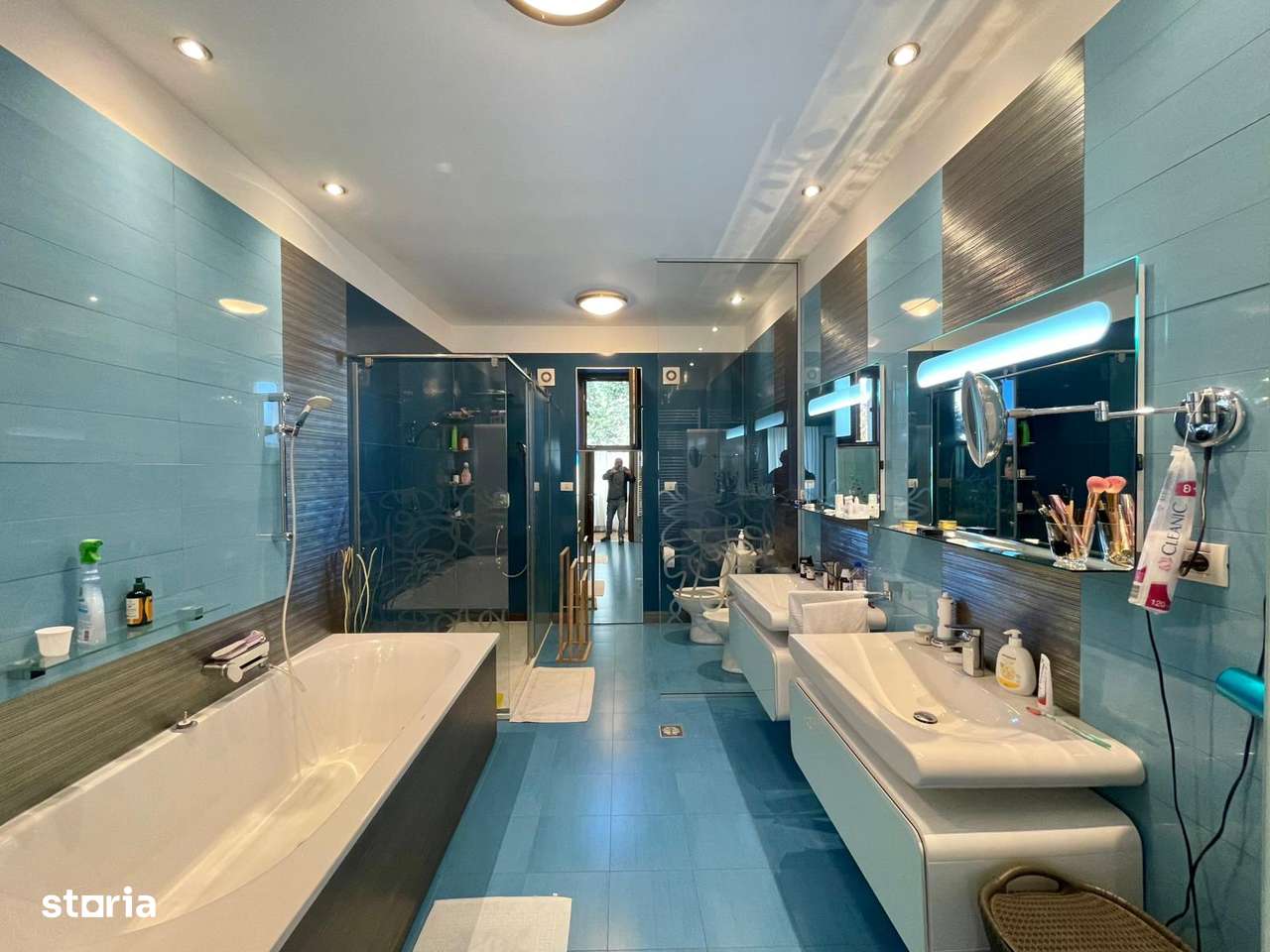 Casa - Damaroaia, Expozitiei, Herastrau-10