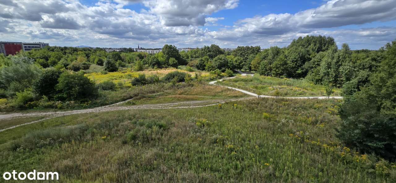 Piękny 5-pokojowy apartament z bezpośrednim widokiem na Park Krzycki-4