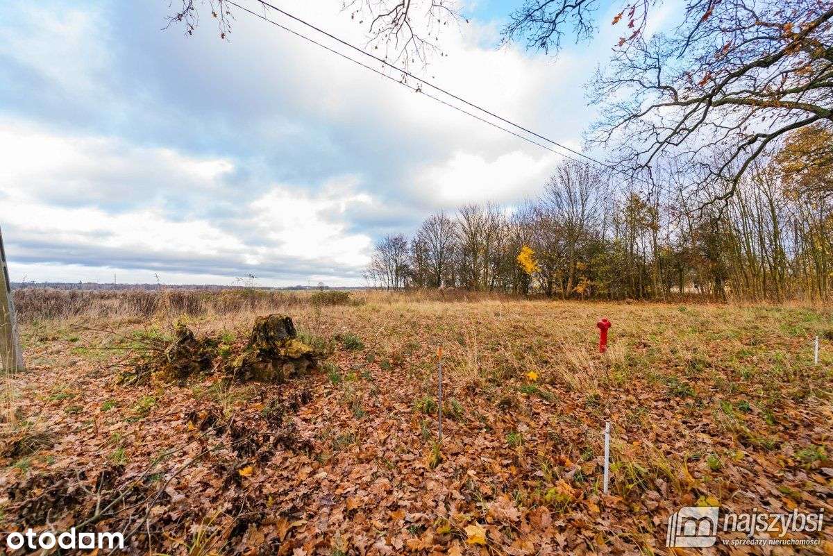 Goleniów-Tarnówko- działka 3200 m2 z war. zabudowy - Pełny obrazek: 4/19