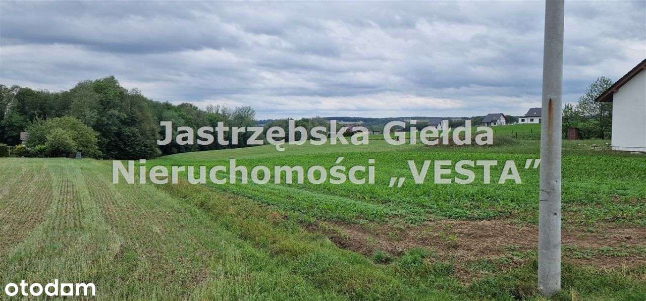 Super lokalizacja - Frydrychowice -Tylko U Nas !!! - Pełny obrazek: 4/10