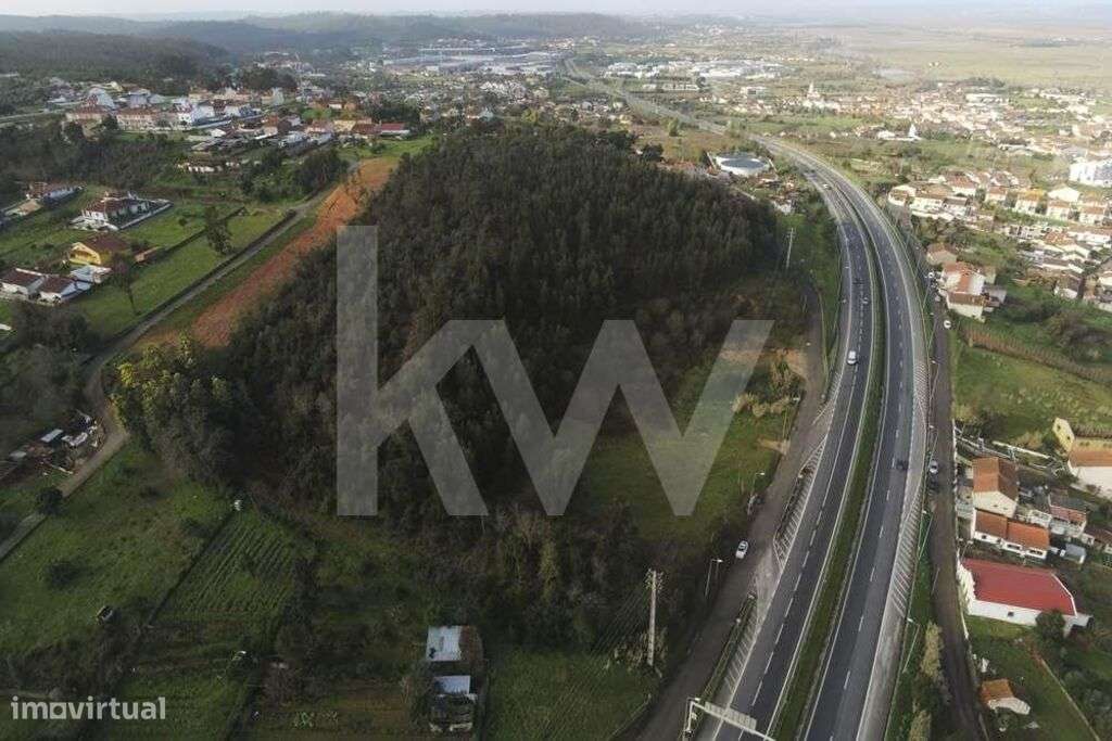 Grande terreno para construção com mais de 18000m2  | Ribeira de Frade - Grande imagem: 5/21