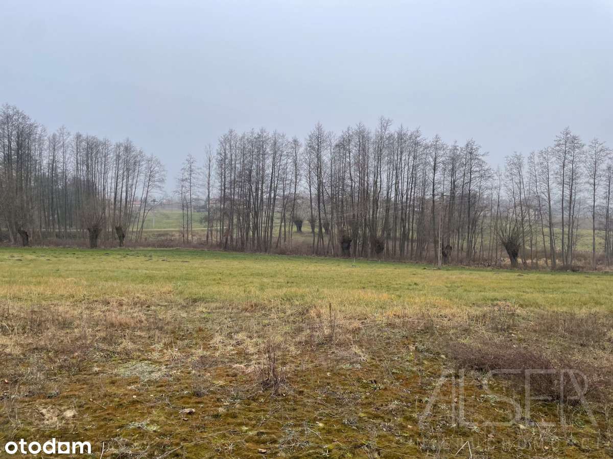 6 Działek budowlanych od 1356 m2 do 2143 m2 | WZ-11