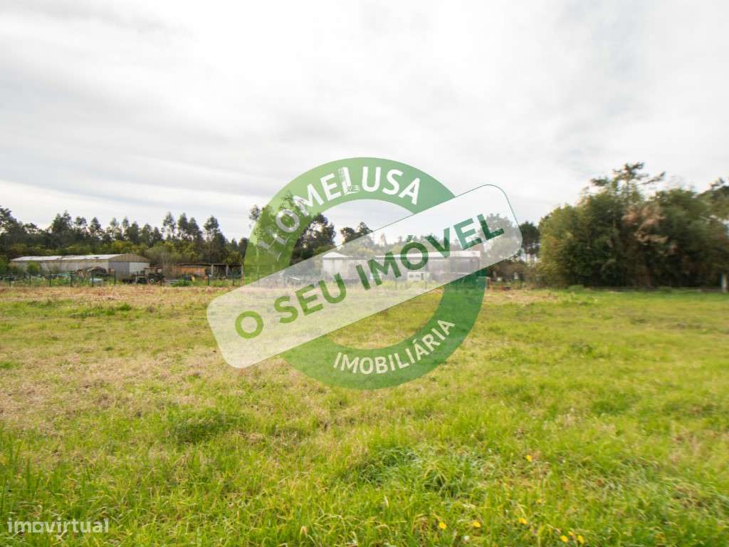 Lote Terreno - Grande imagem: 5/17