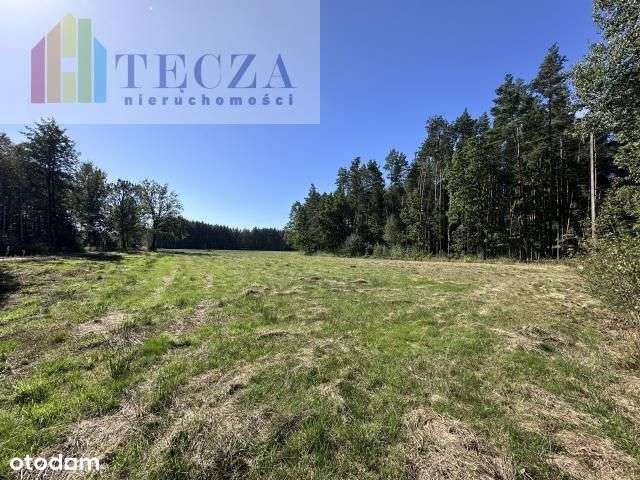 8 działek Budowalnych z wydanymi Wz,Borucza,gm.Str-10