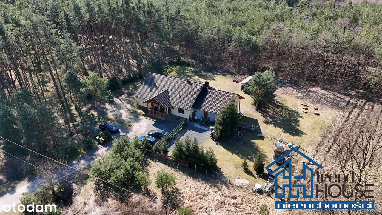 Dom otoczony zielenią z potencjałem | duża działka-0