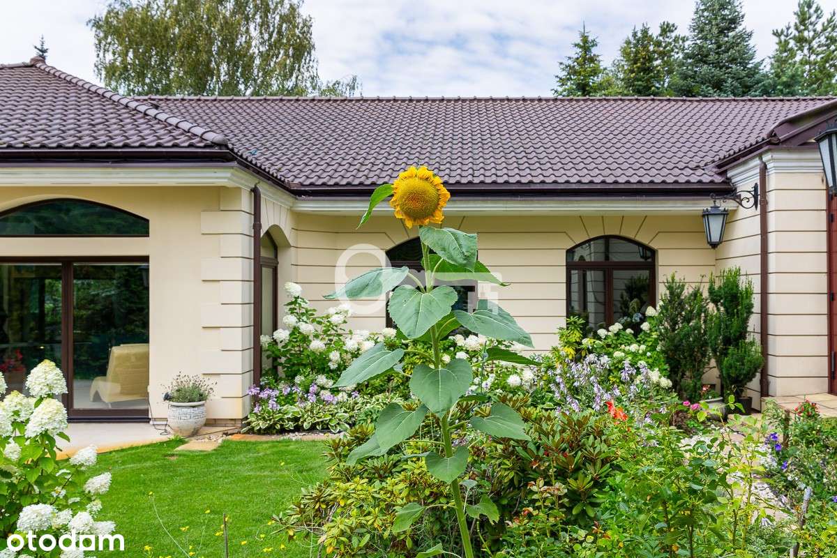 Luksusowa rezydencja | Duża działka | Część Spa - Pełny obrazek: 4/20