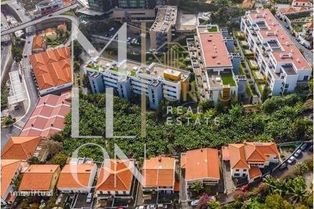 Terreno de 3917m2 | Rua Nova de São João - Grande imagem: 2/4