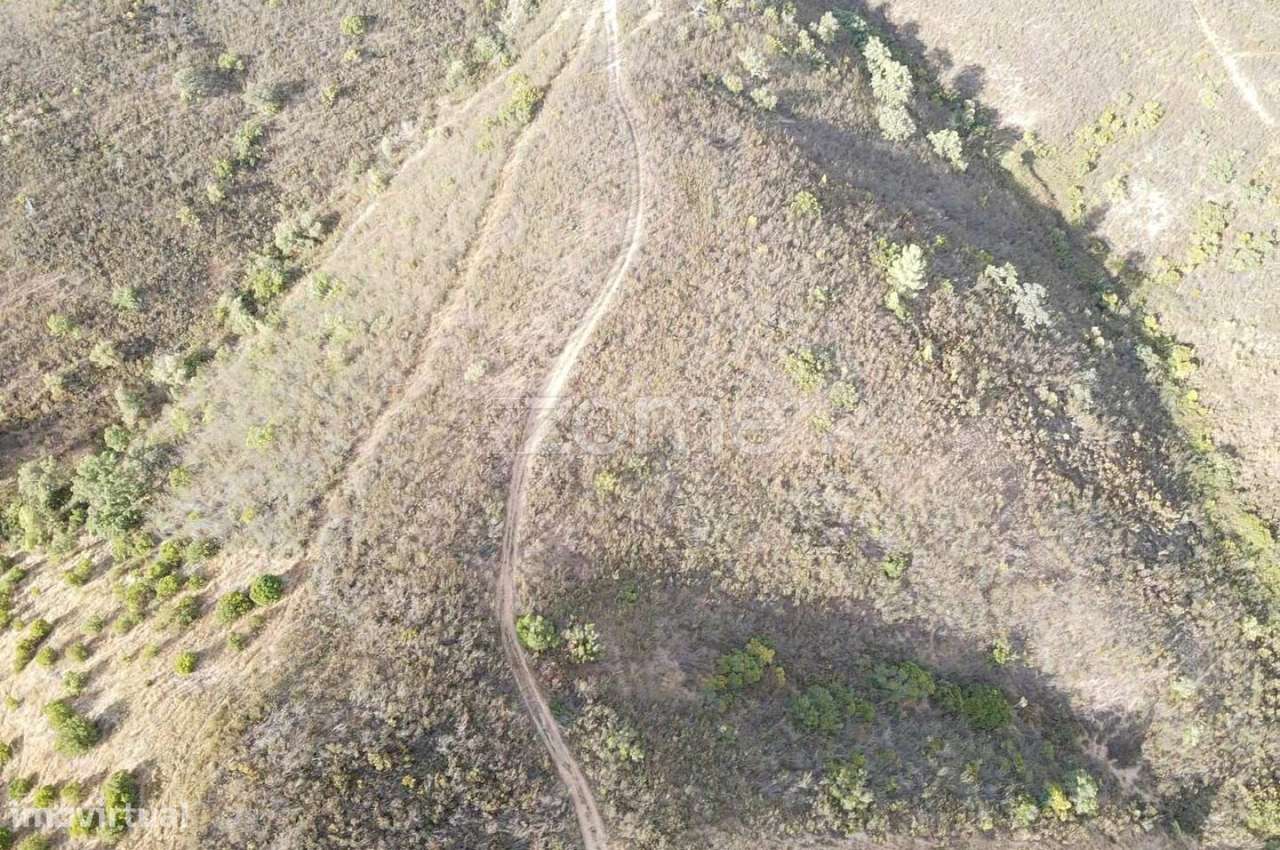 Terreno Rústico em Foz do Ribeiro com 7.920m2, S.B.Messines - Grande imagem: 4/15