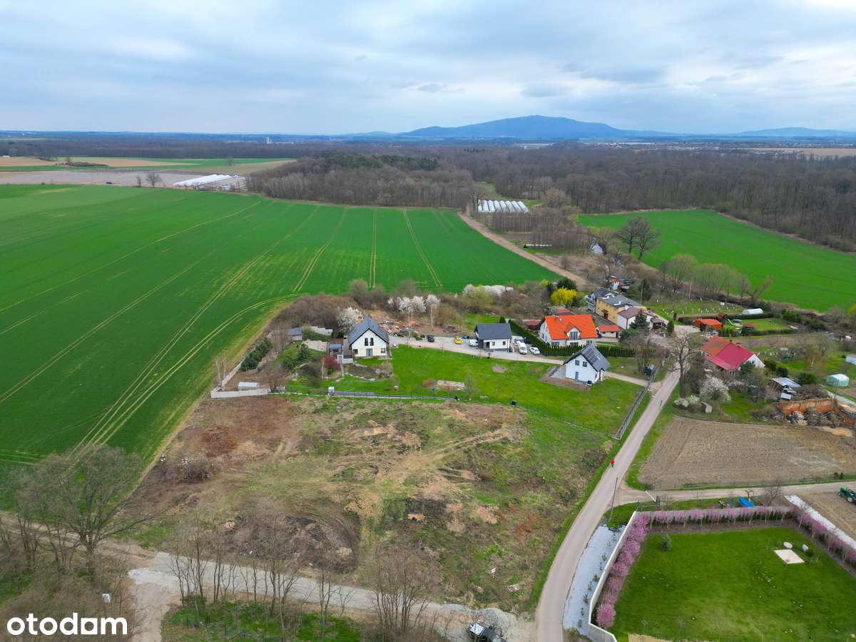 Ujów | Działki z potencjałem | Spokojna okolica | Blisko przyrody i A4 - Pełny obrazek: 4/9