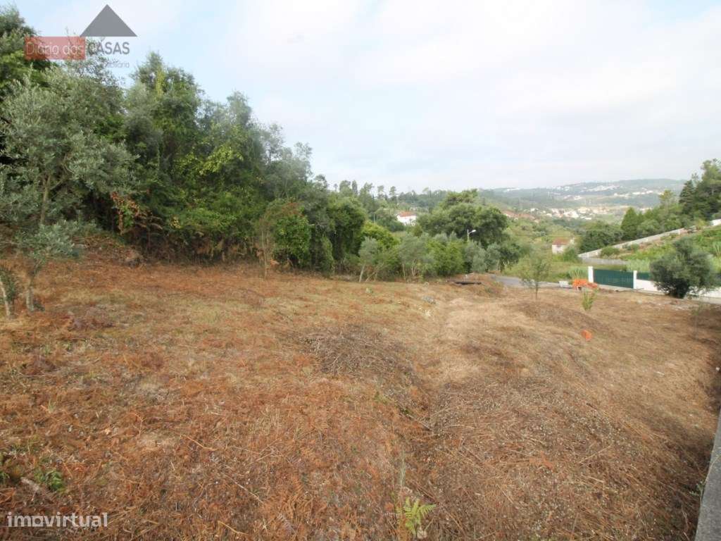 Terreno Marco dos Pereiros - Coimbra - Grande imagem: 2/4