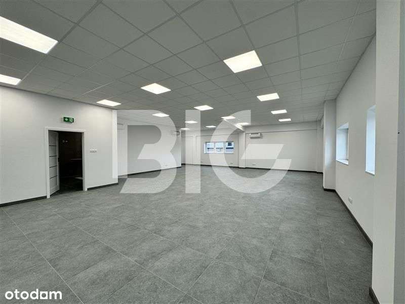 Nowy, samodzielny obiekt magazynowy - Pełny obrazek: 5/6