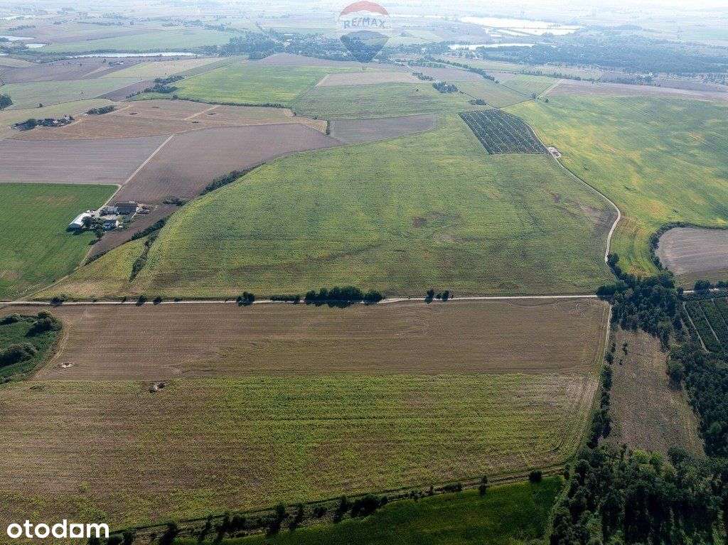 Inwestycyjna rolna działka Łubowice obok Poznania - Pełny obrazek: 5/11