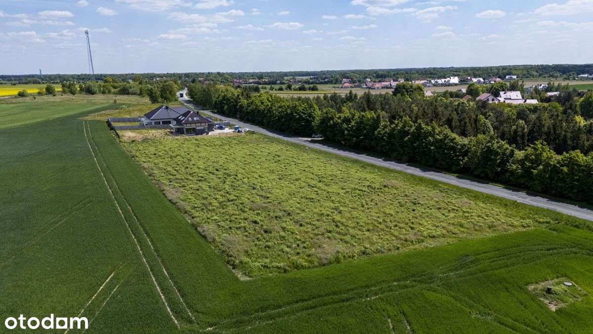 Działka w Bogdaszowicach, gotowa na Twój projekt-5