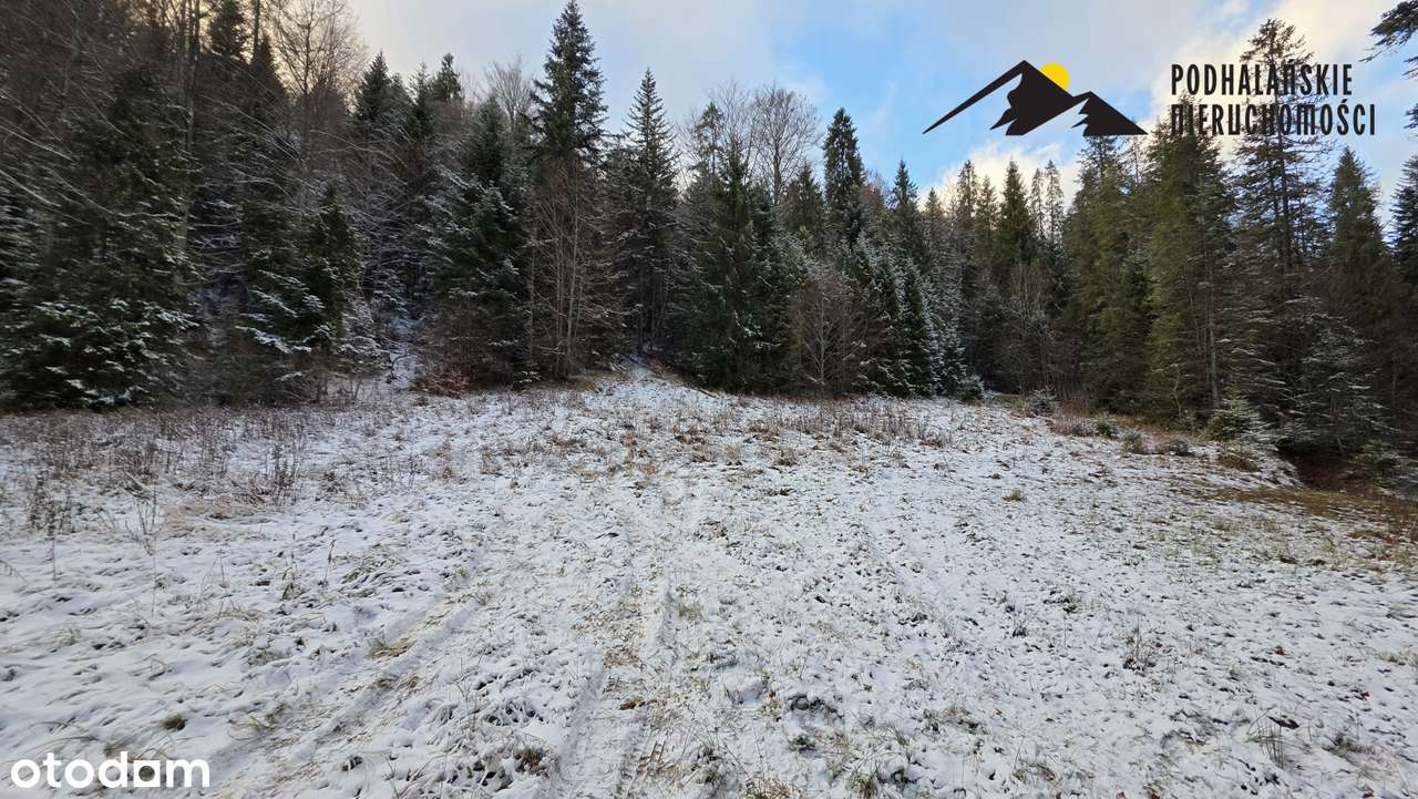 Polana w Gorcach w spokojnej okolicy-4