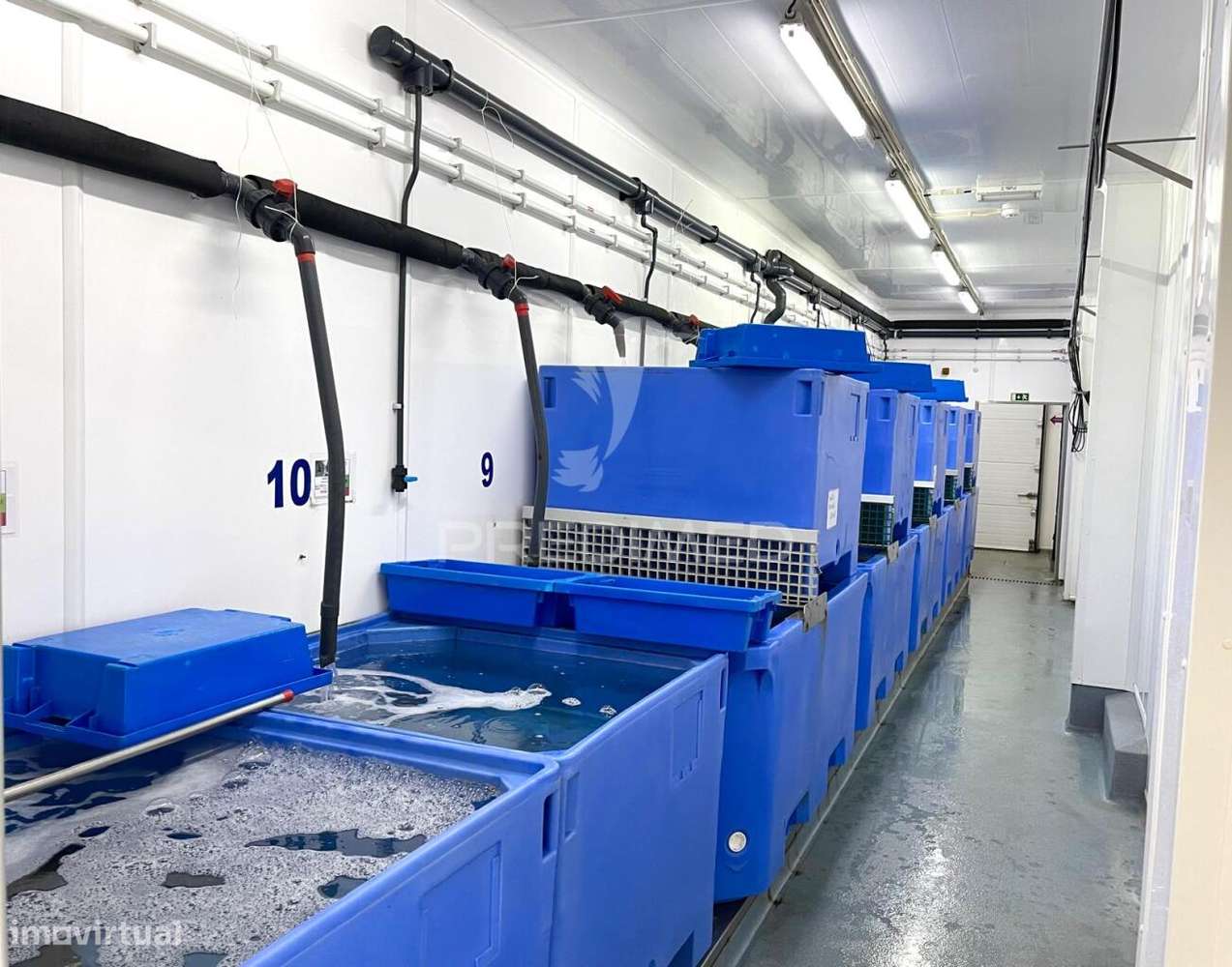 Armazém e loja comercial (comércio de marisco) - Grande imagem: 5/37