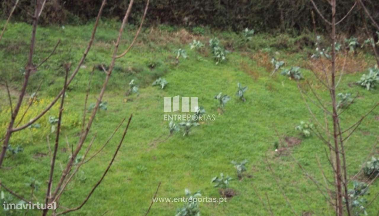 Venda Terreno, Campelo, Baião - Grande imagem: 4/30