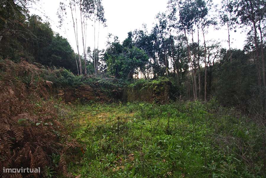 Grande propriedade, com floresta e 2 ruínas, Fraldeu, Óbidos-34