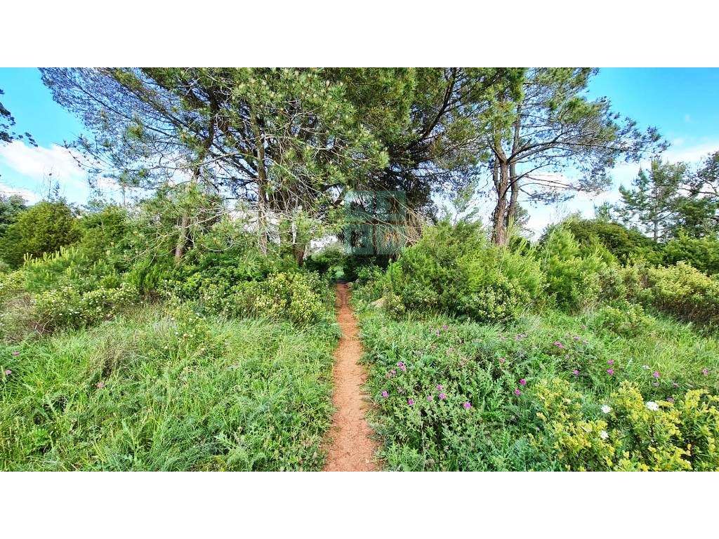 Quinta com 435.487 m2 na Serra da Arrábida, em Palmela, Setúbal-30