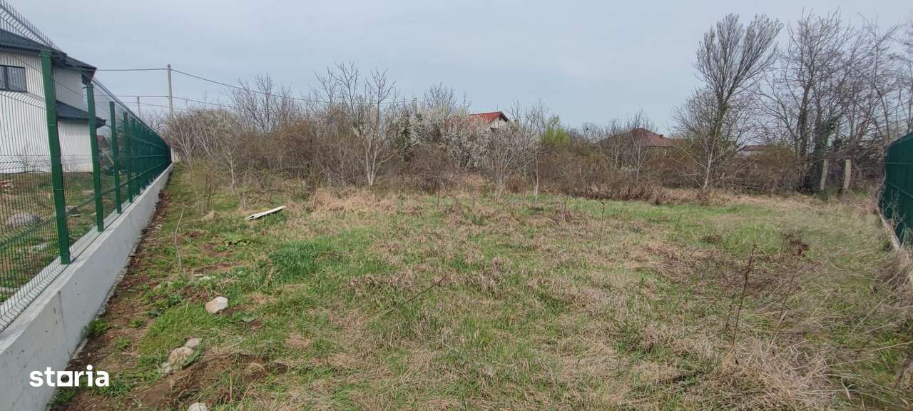 Vand teren de 1500 mp in Caciulati, com. Moara Vlasiei, jud. Ilfov - Imagine principală: 2/6