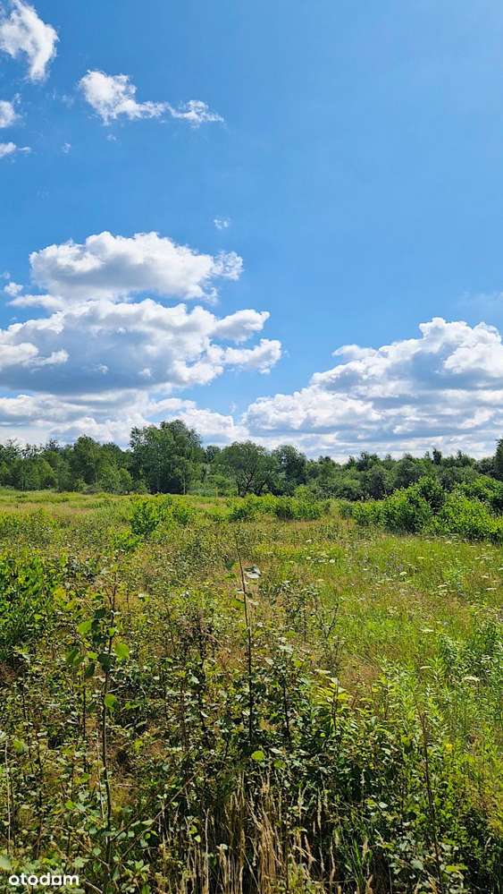 Działka budowlana Grabówka 1228m2 - Pełny obrazek: 5/8