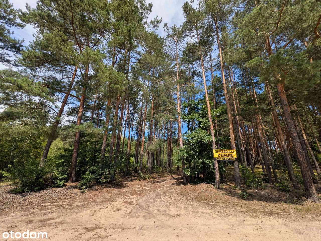 Sprzedam działkę budowlaną pod lasem – okolice Mielca