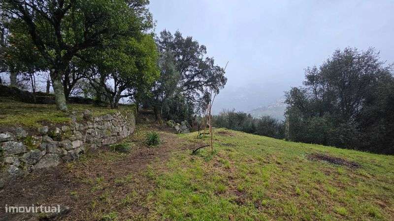 Moradia T3 com terreno - Grande imagem: 4/12