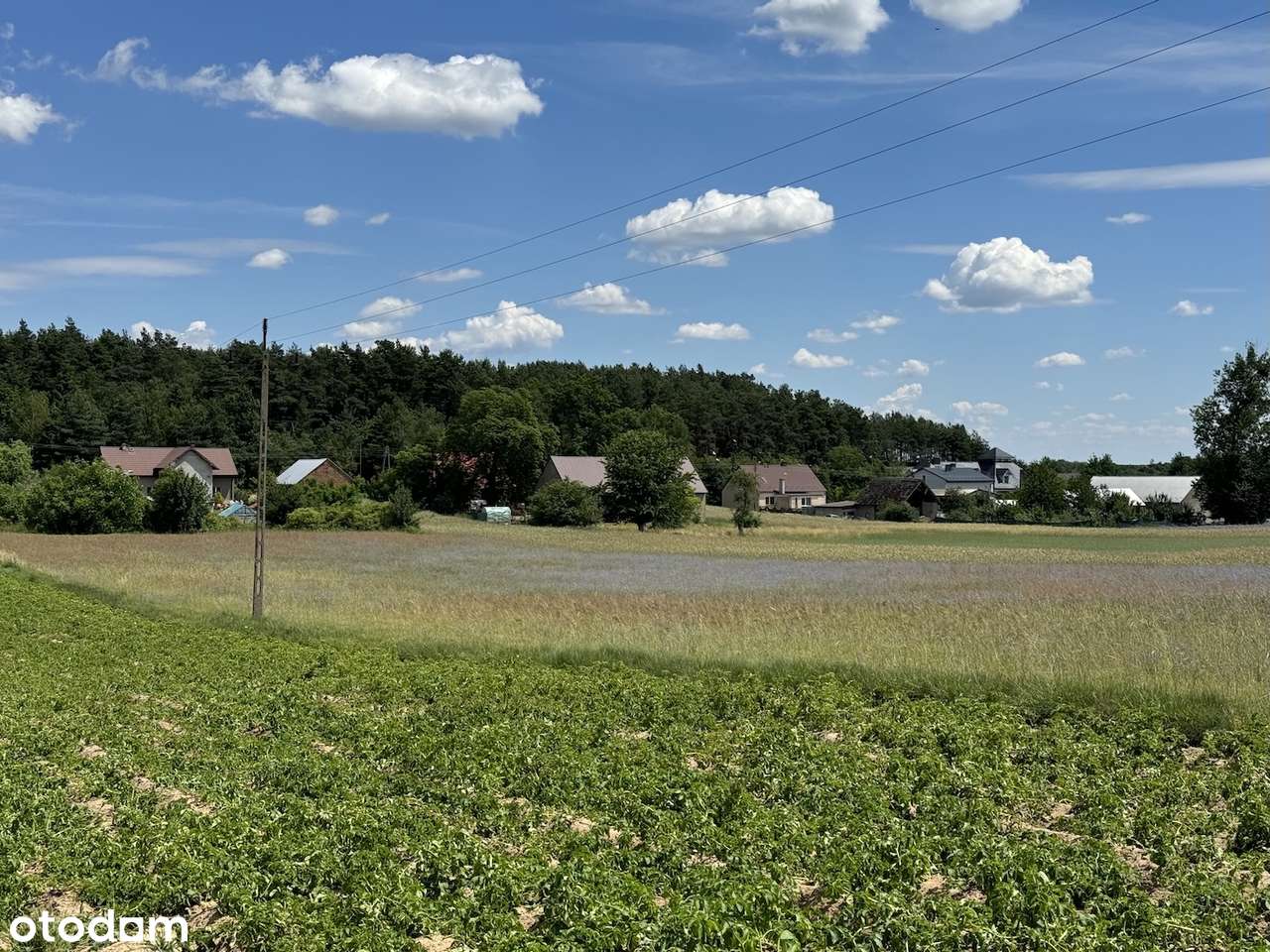 Działka budowlana z własnym lasem i asfaltowym dojazdem, media!-13