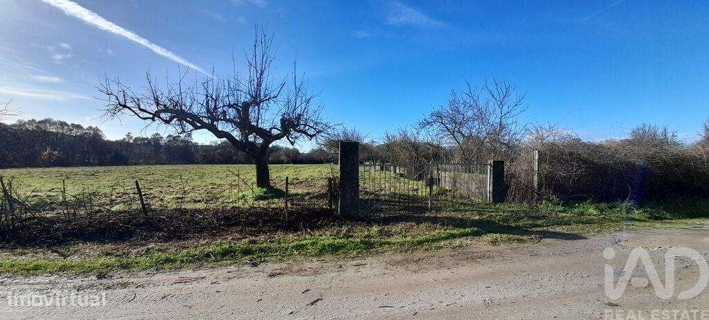 Terreno Agrícola em Três Povos - Grande imagem: 4/22