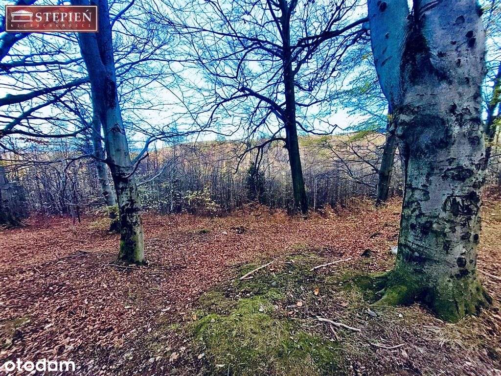 Działka, 3 677 m², Świeradów-Zdrój - Pełny obrazek: 3/12