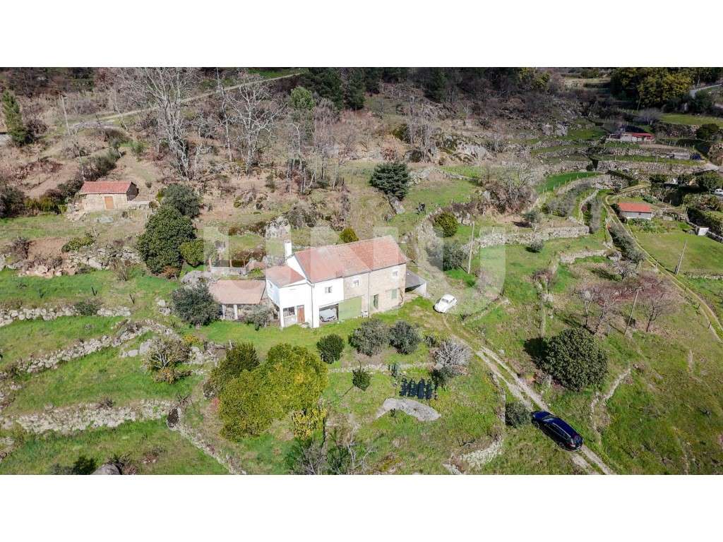 Quinta T2 com Habitação, Infraestruturas Agrícolas e Terreno com Vi... - Grande imagem: 3/49