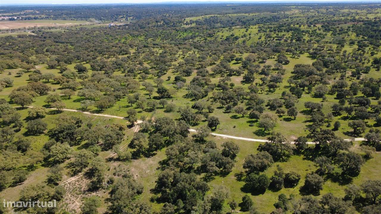 Herdade  Venda em Figueira dos Cavaleiros,Ferreira do Alentejo-5