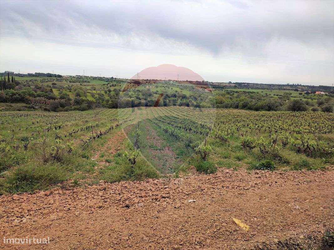 Terreno  para venda - Grande imagem: 3/9