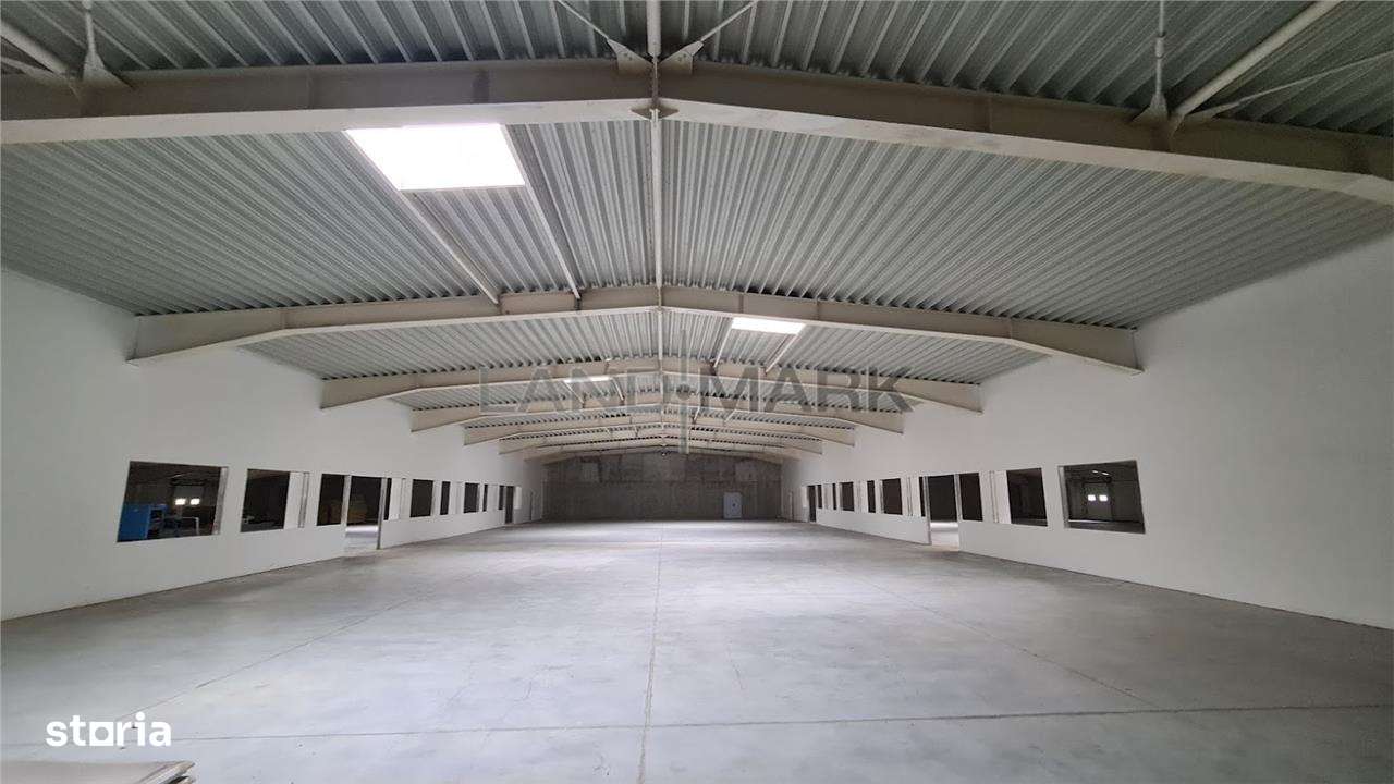 Hala productie de vanzare Timisoara - Exterior Nord-0