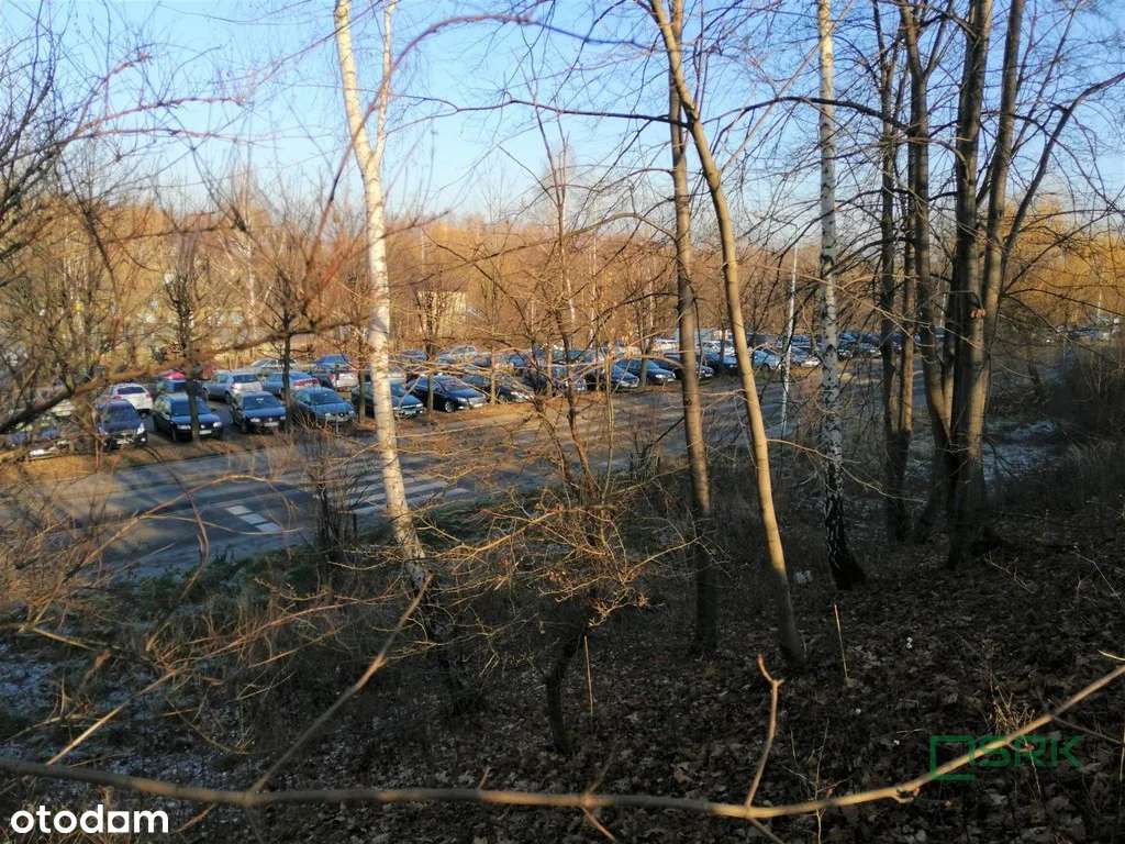 Działka, 4 466 m², Rydułtowy - Pełny obrazek: 4/5