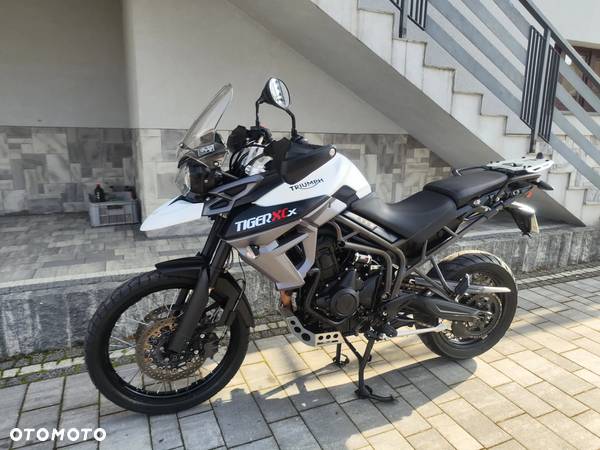 Triumph Tiger - 16