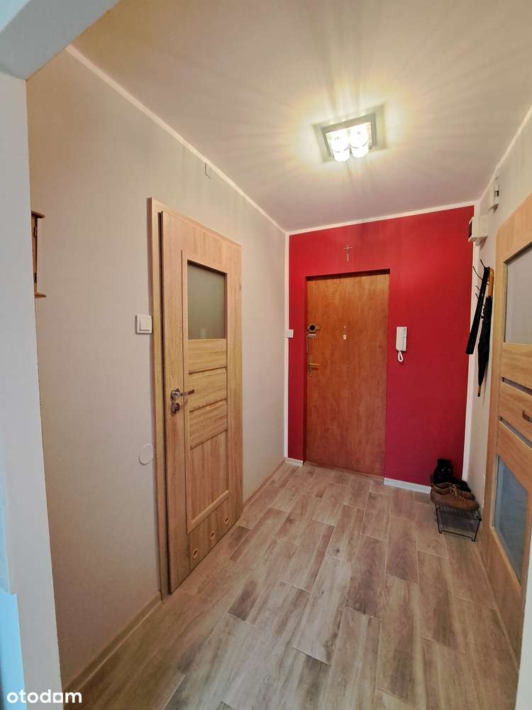 M2 Żubardź, duża kawalerka, parter, do wprowadzenia-5