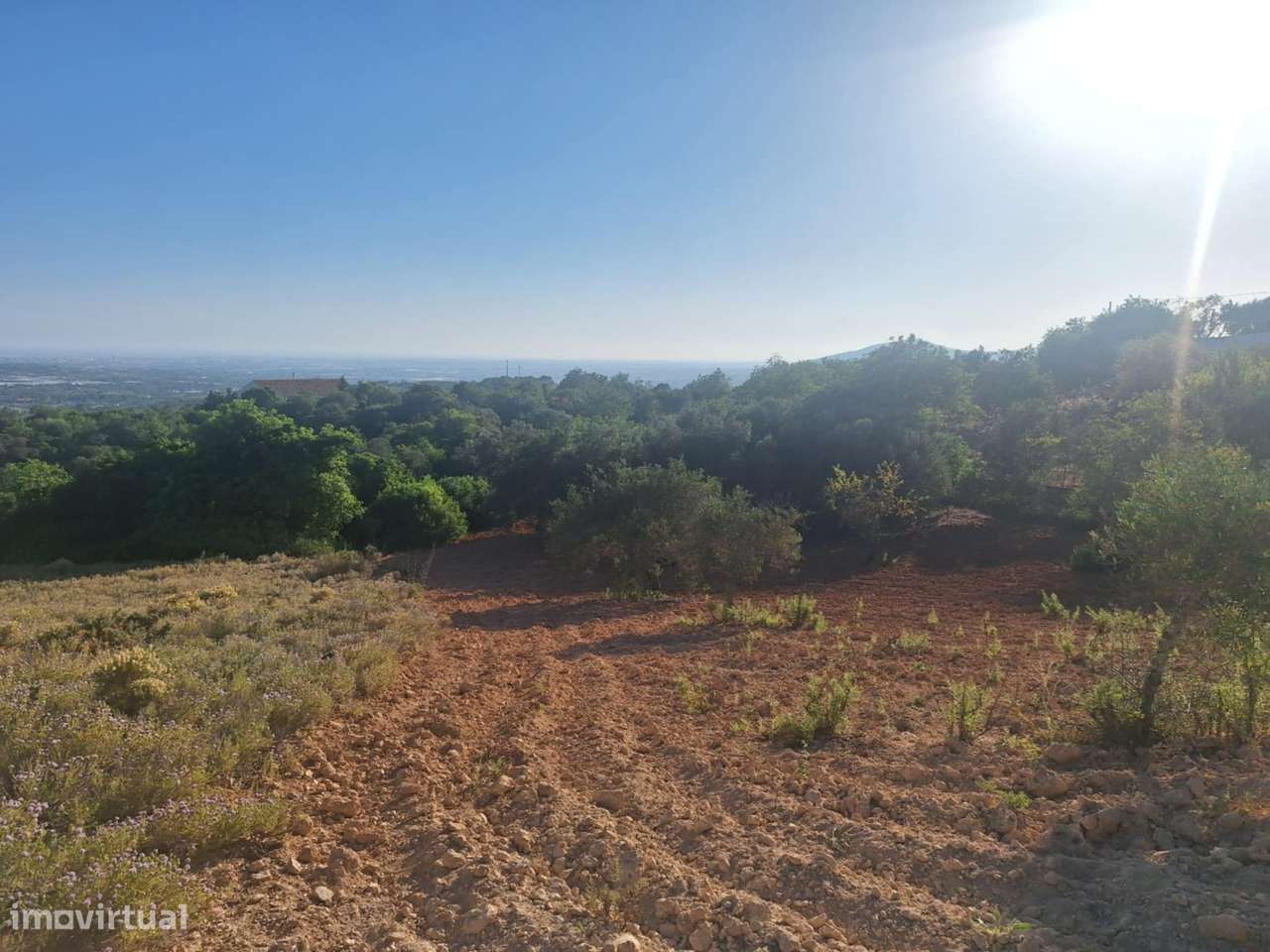 Terreno Rústico a 10km de Estoi-20