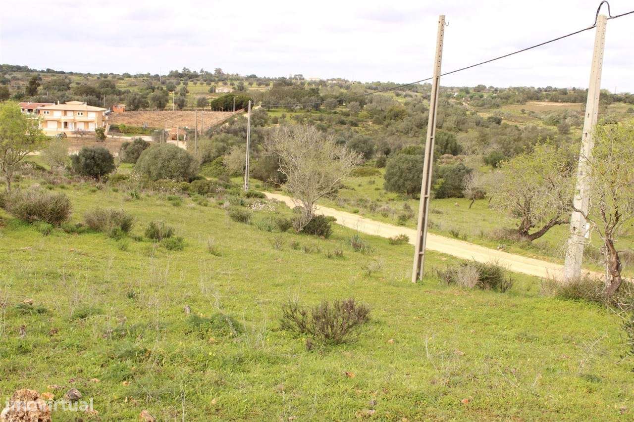 TERRENO RÚSTICO EM ESPICHE - Grande imagem: 2/6