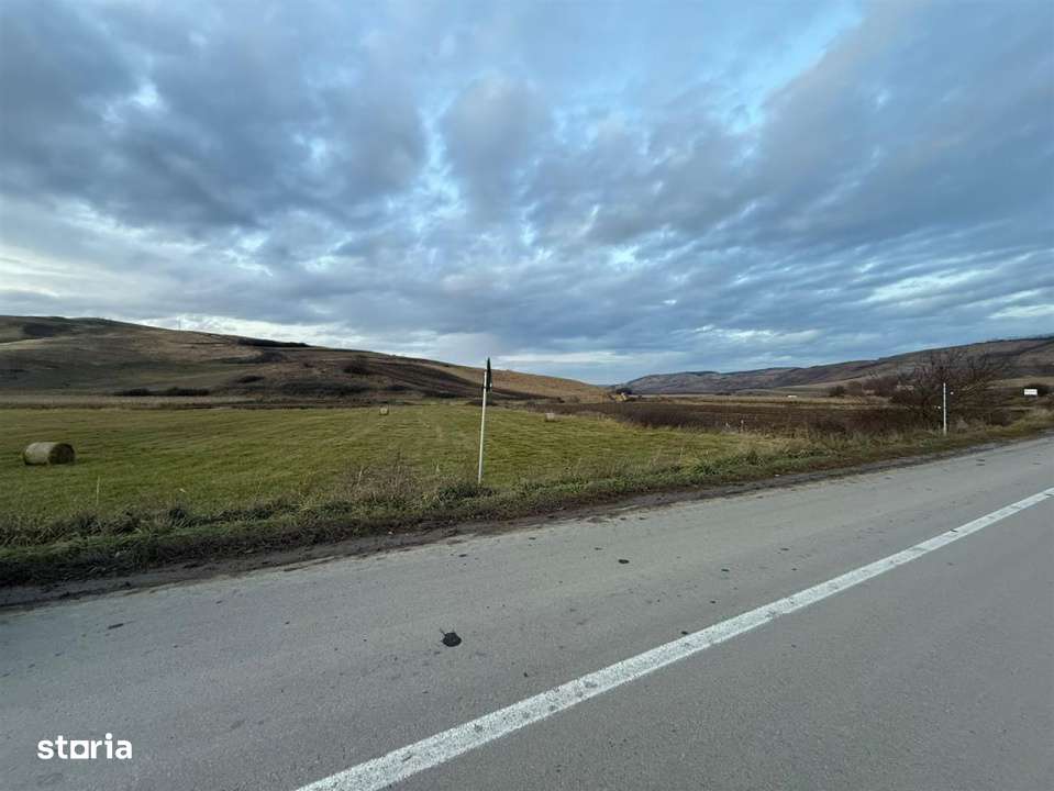 Teren Extravilan I 6000 Mp I Acces la drum | Cojocna-3