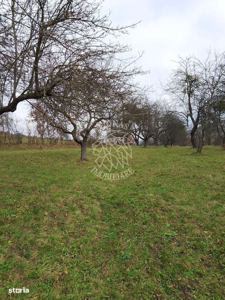 Teren 3966 mp-2 deschideri-curent-investitie-Budacu de Sus - Imagine principală: 1/5