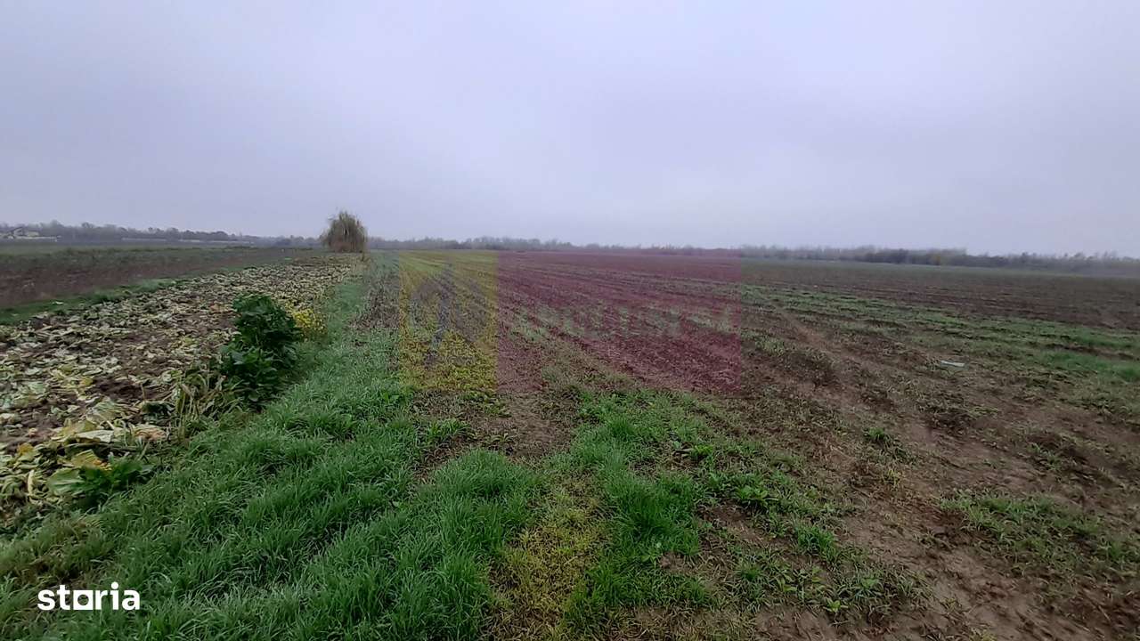 Teren Investiție aproape de București - Imagine principală: 4/12