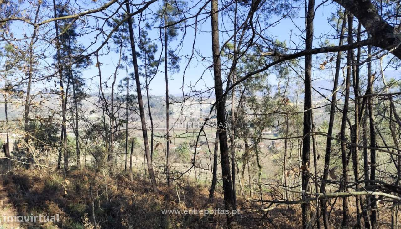 Venda Terreno, Constance, Marco de Canaveses - Grande imagem: 2/30