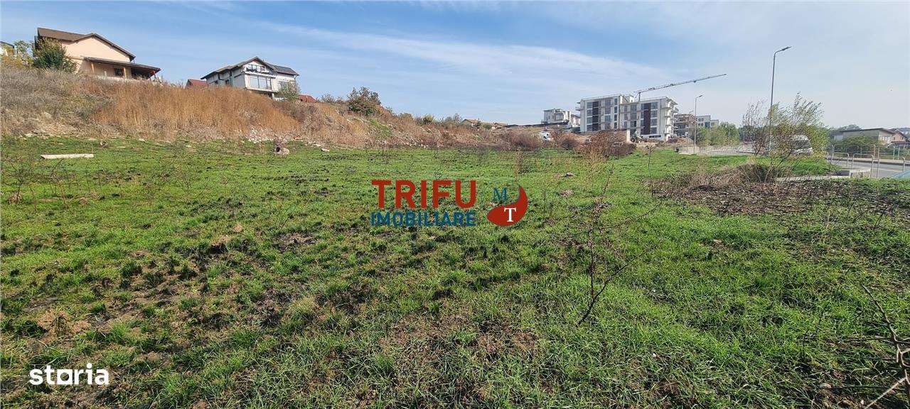Teren intravilan 2900 mp pretabil P+3 zona Cetate - Imagine principală: 4/4